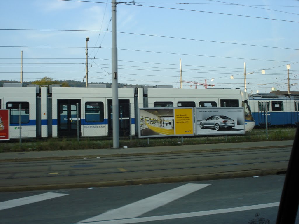 Cobra des VBG au dépôt des VBZ by SocoA