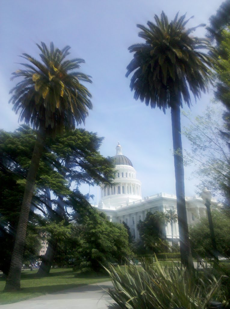 2011/04/16: Sacramento Capitol seen through a layer of marmelade that felt on my camera lens... by Marco Zennaro