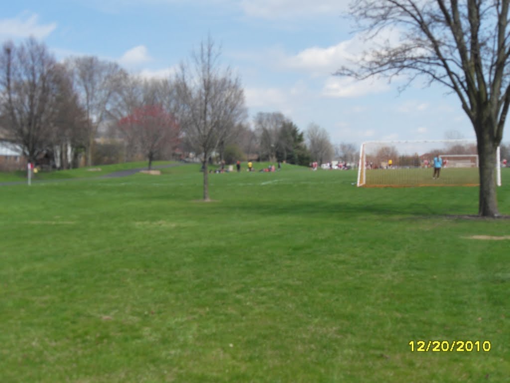 Soccer field by tiedye91