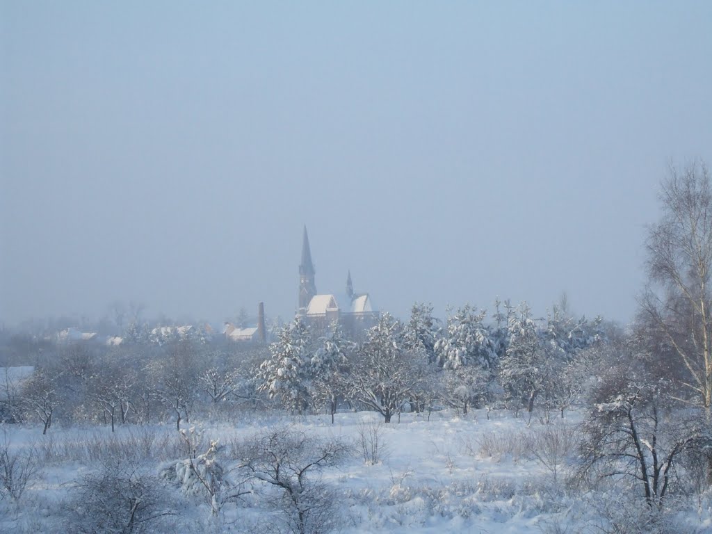 Kościół w Rozwadowie by milenal