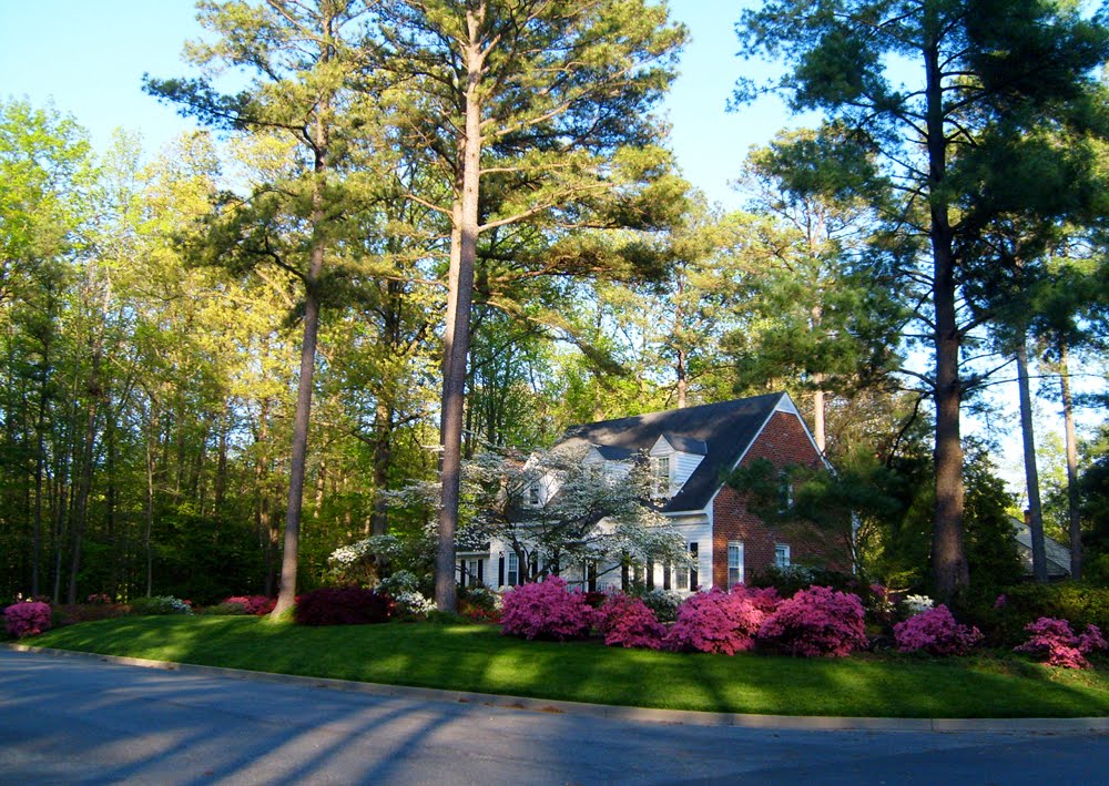 Home With Azaleas, Henrico County, VA by r.w.dawson