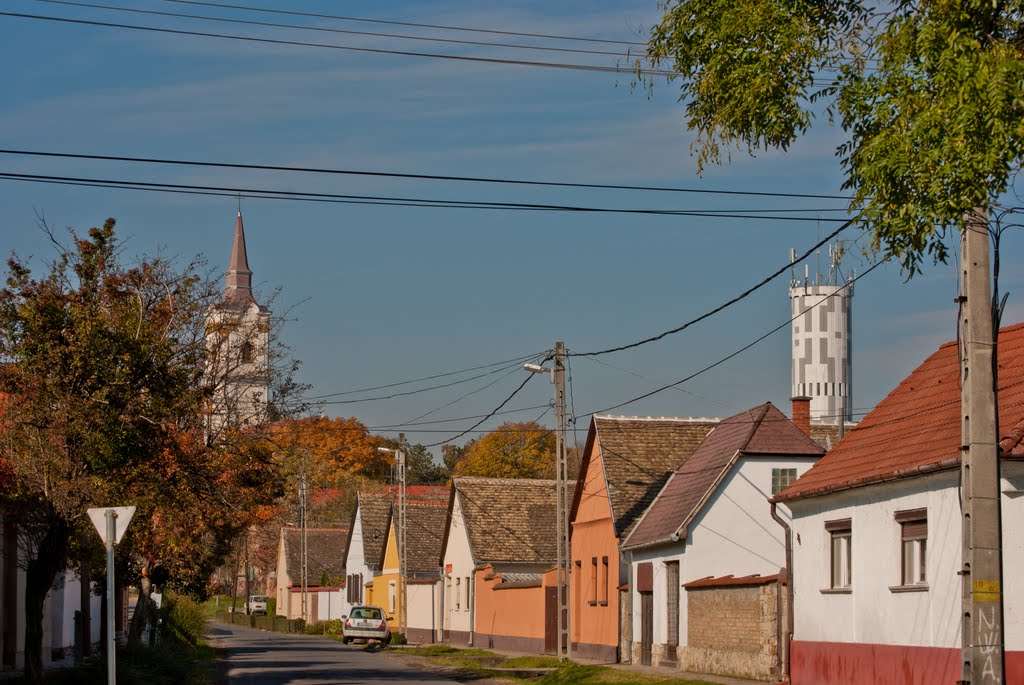 Mohács Gólya utca by Faggyas Zoltán