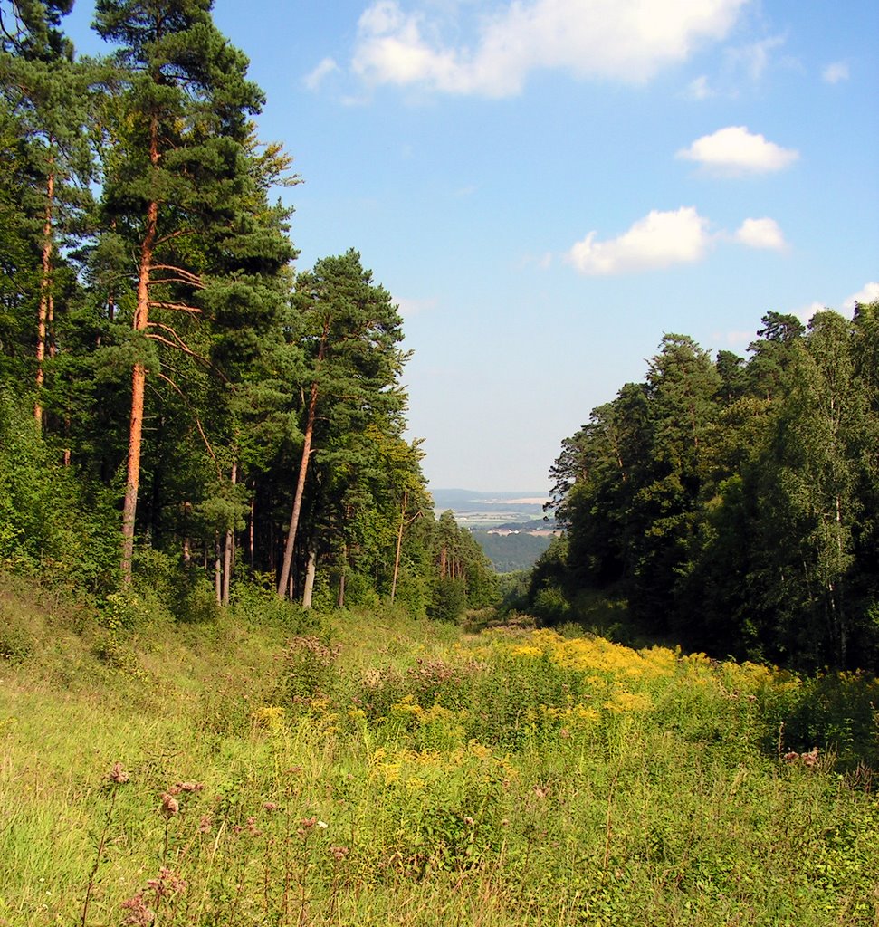 Herrengrund bei Jena by Hans Ulrich H