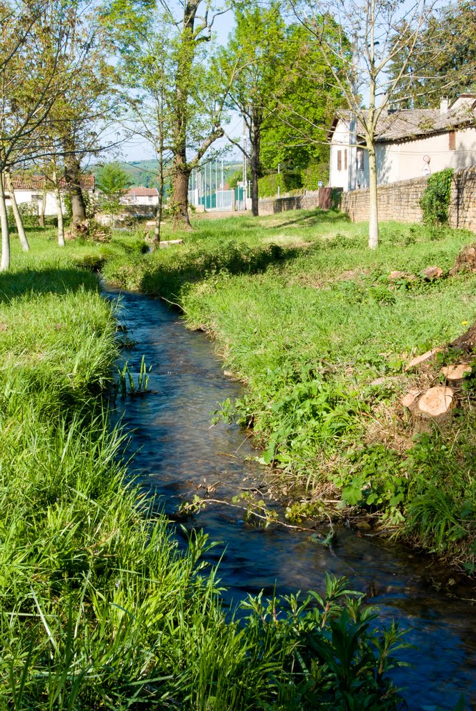 Ruisseau du Thou qui traverse le village du Nord vers le Sud (Saone), Curis au Mont d'Or by de carné