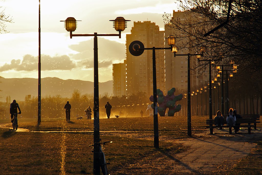 Sunny day by jadranko markoč