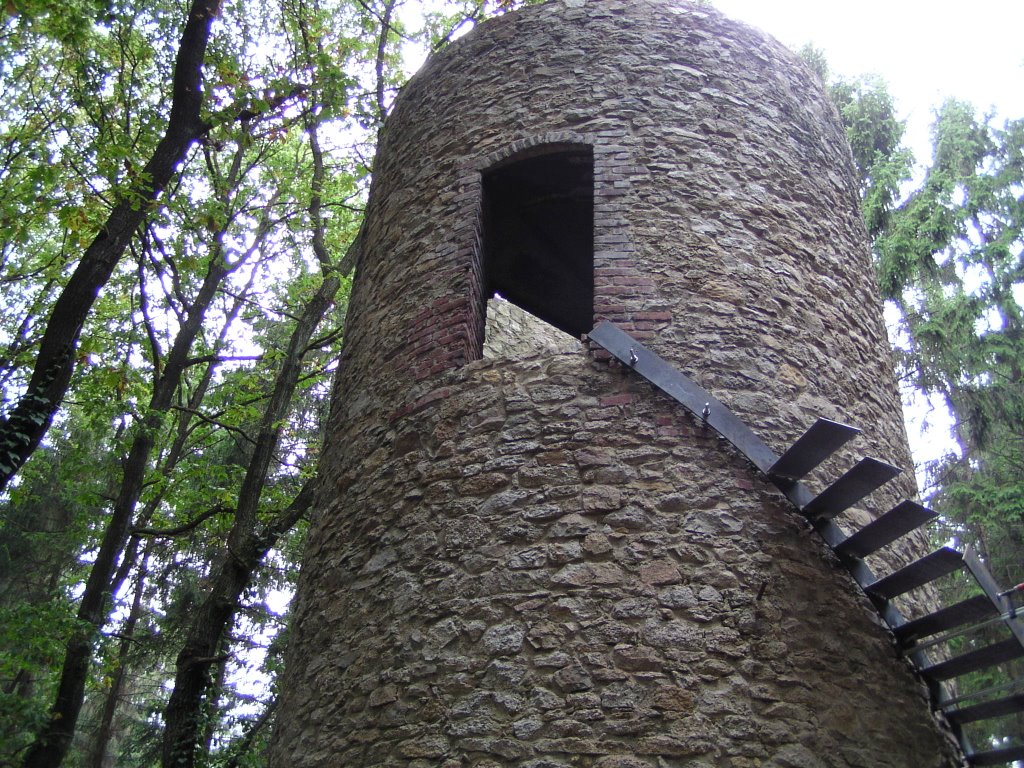 Der Lulu-Turm im Landschaftsgarten Kammerbusch by Werner Meyer