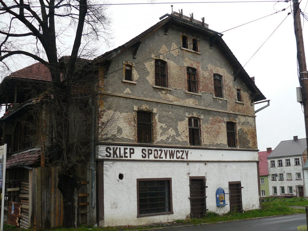 Elhagyott élelmiszerbolt / Abandoned grocery - 2011.04 by ehog.hu