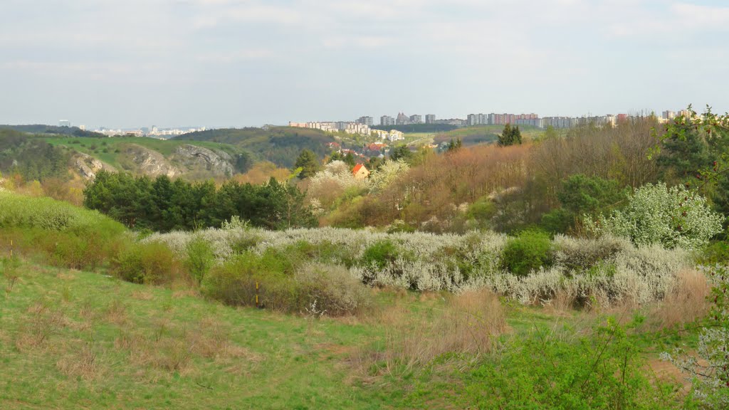 Panorama - Prokopské údolí, Barrandov by Zdeněk Vondra