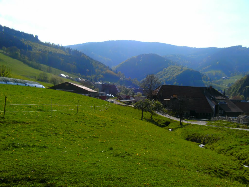 View at Oberried by a.ok