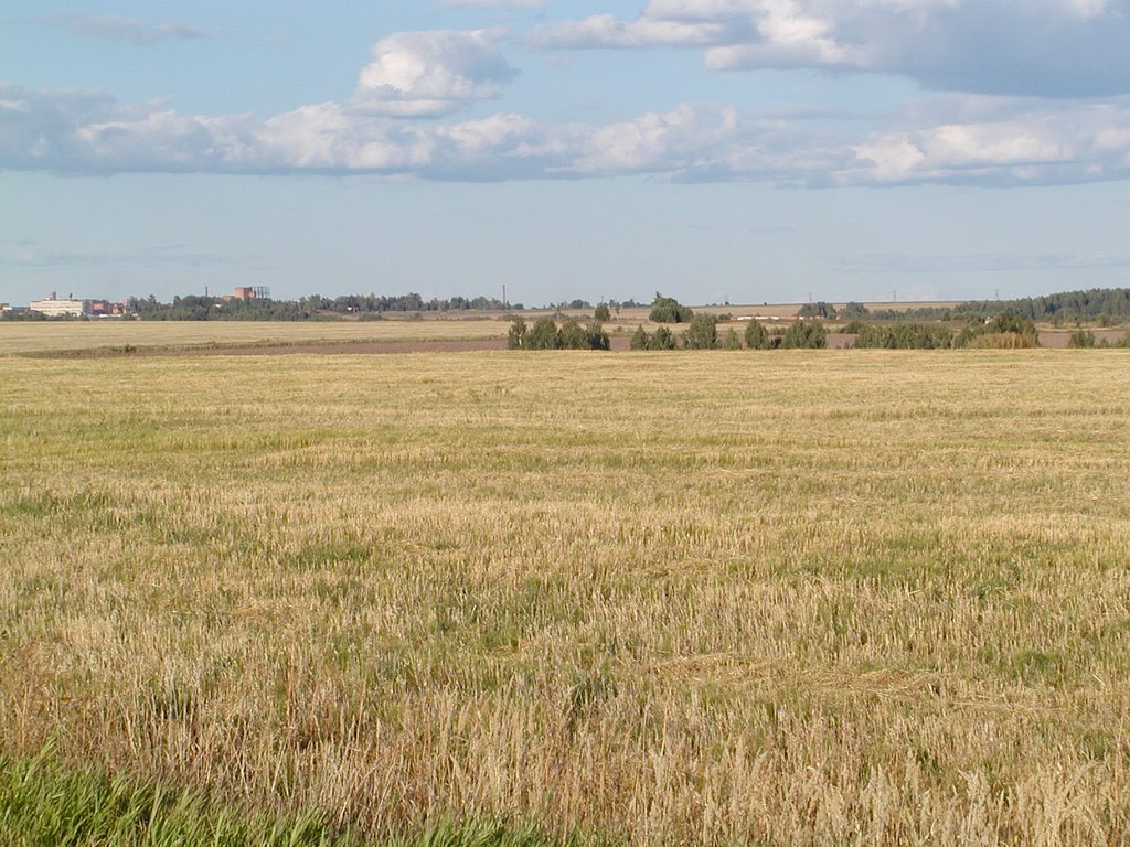 Lyskovsky District, Nizhny Novgorod Oblast, Russia by wagabond