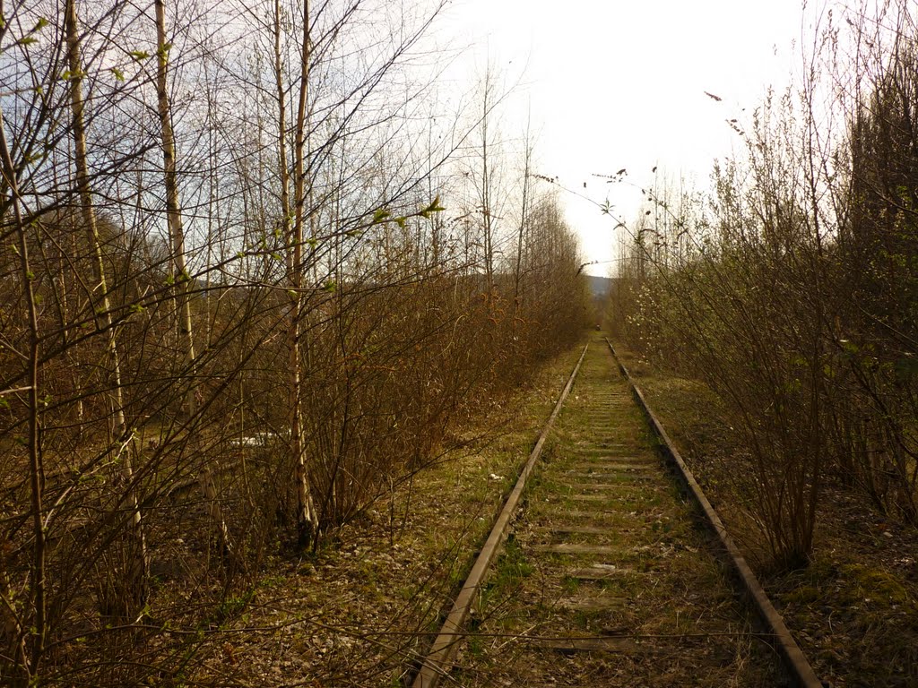 Nordbahntrasse, stillgelegter Abschnitt der Bahnstrecke Düsseldorf-Derendorf–Dortmund Süd (Wuppertal-Wichlinghausen) / 2.04.2011 by Iceman93 / NO VIEWS!!!