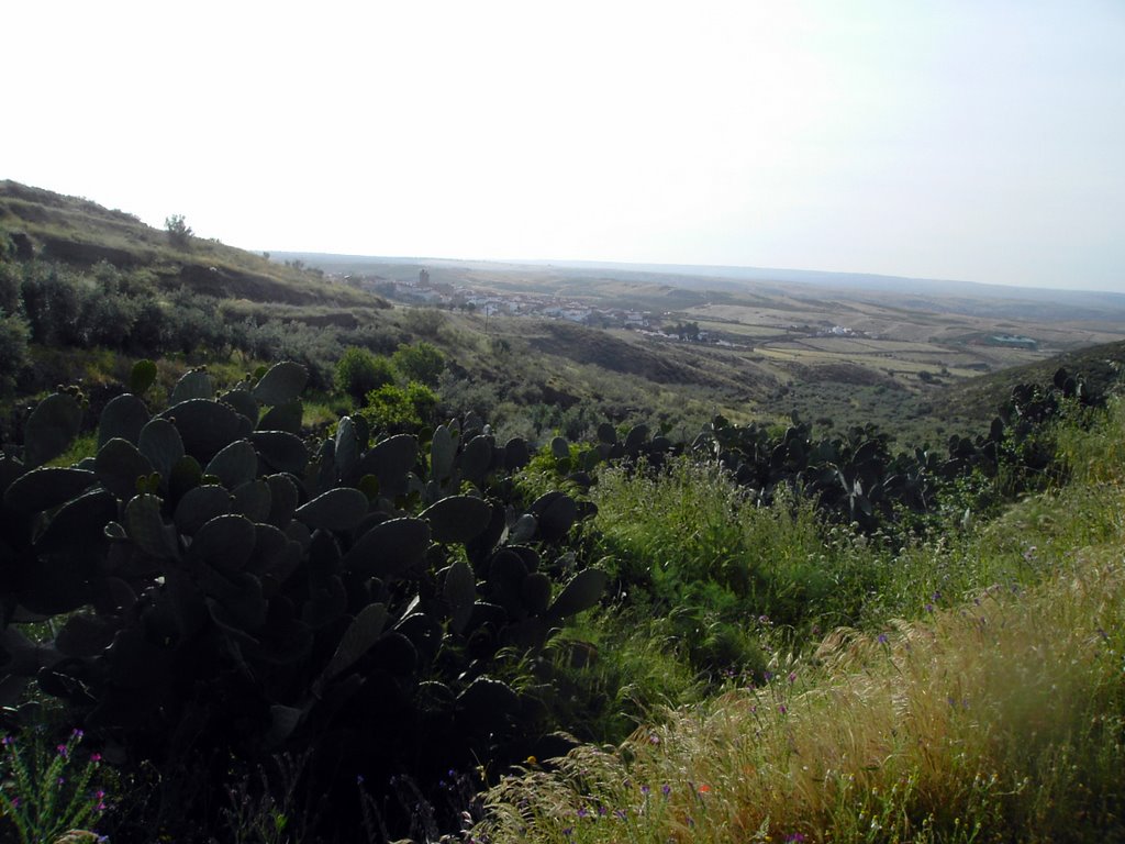 Cañaveral, panorámica by santipacho