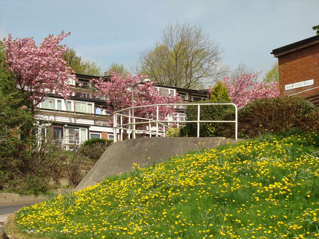 Springtime on Hall Park Hill, Stannington, Sheffield S6 by sixxsix