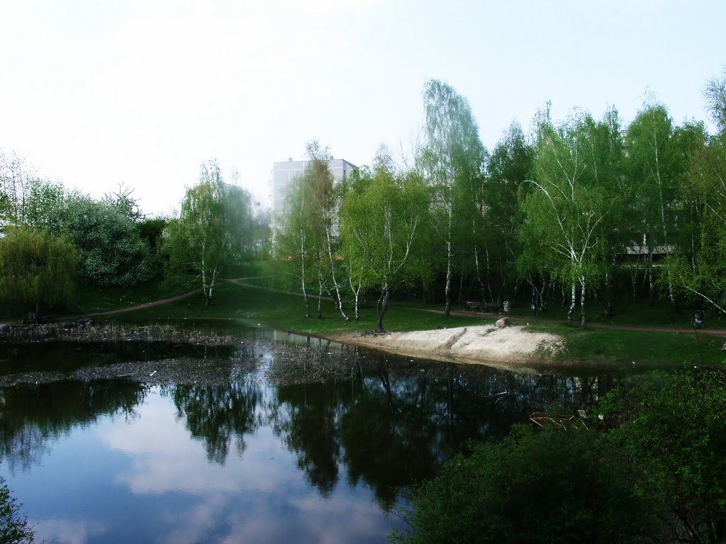 Am kleinen Teich( hier haben wir als Kinder nach rießigen Gipskristallen gegraben), 2011 by Bogenmann