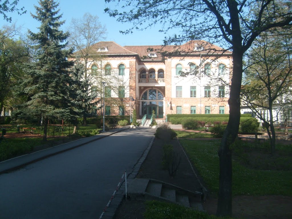 Orvostudományi Egyetem, Szeged - University of Szeged, Health Science by Tica20