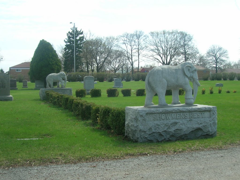 Woodlawn Cemetery by chorleyj