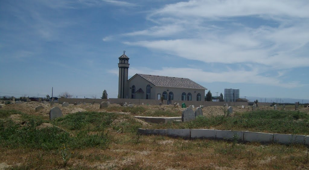 Cemetery, مقبرة by jalajooz