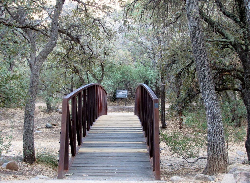 Cochise Stronghold Campground Bridge by Chris Sanfino