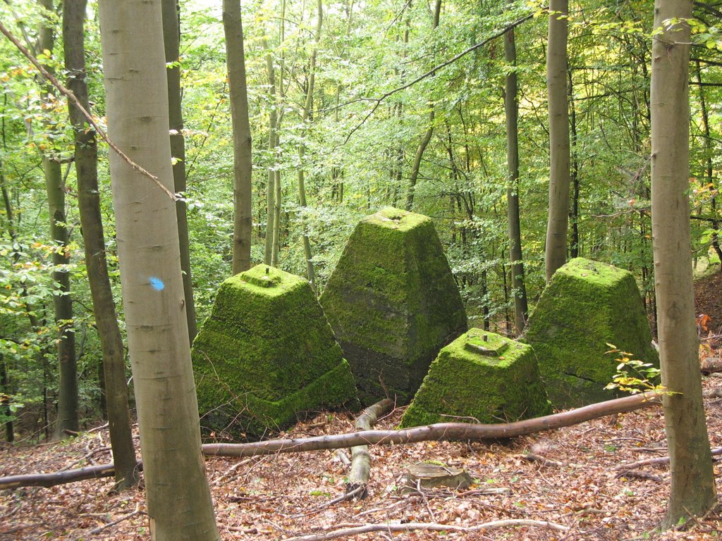 Alte Fundamente der Westbergseilbahn by RSchuetz