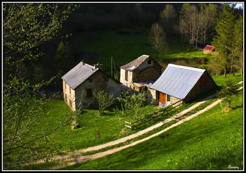 Vallée d'Ustou - França by Llorenç