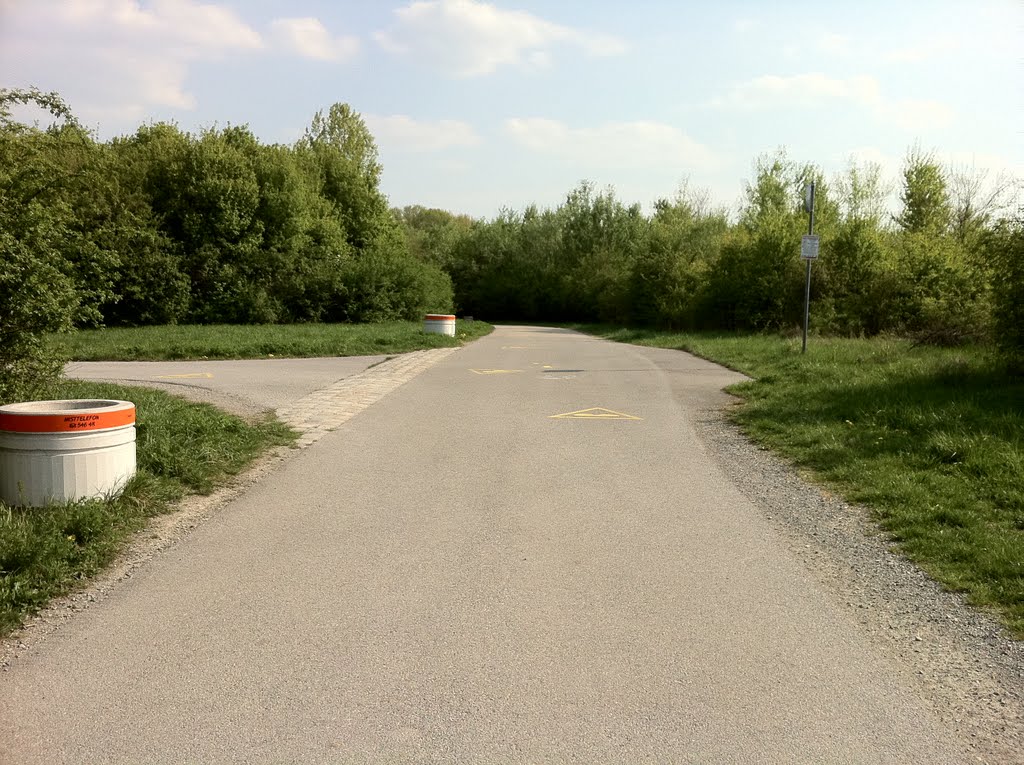 Radfahren auf der Donauinsel I by Flexion