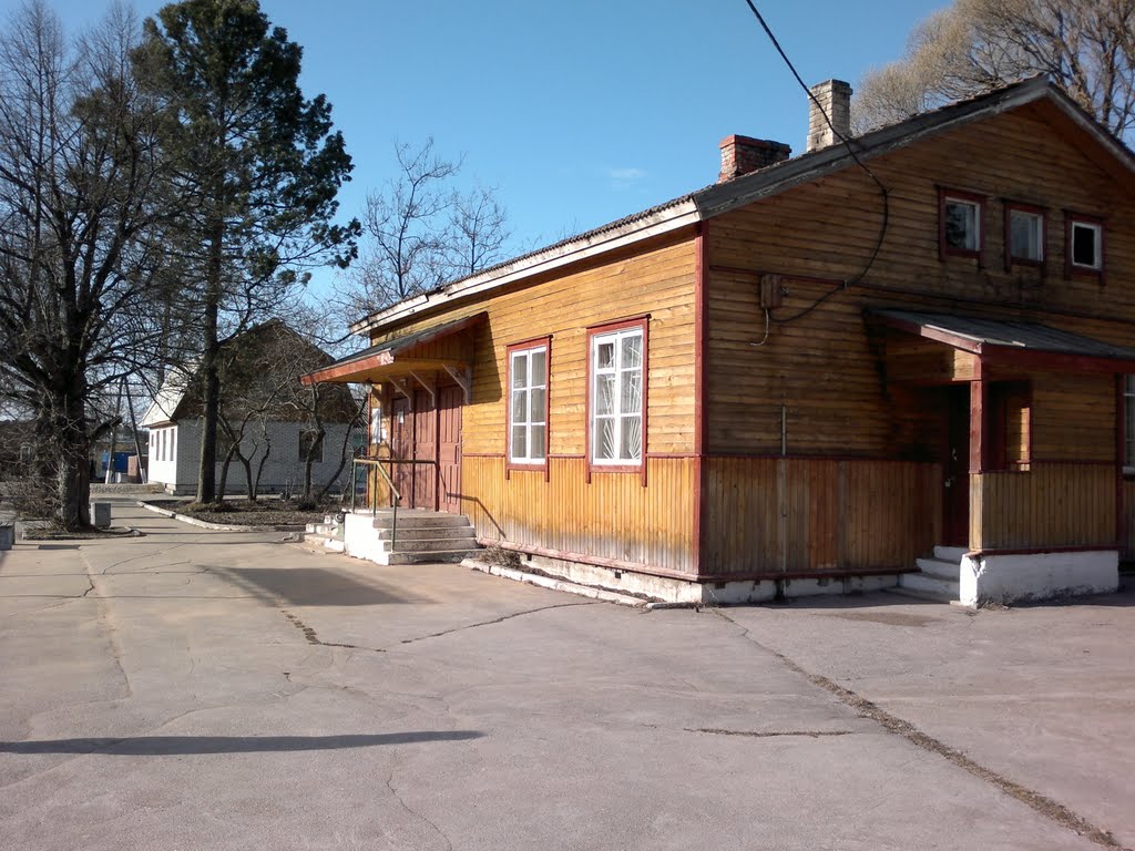 Kuznechnoe Railway Station by Zhidkikh Artem