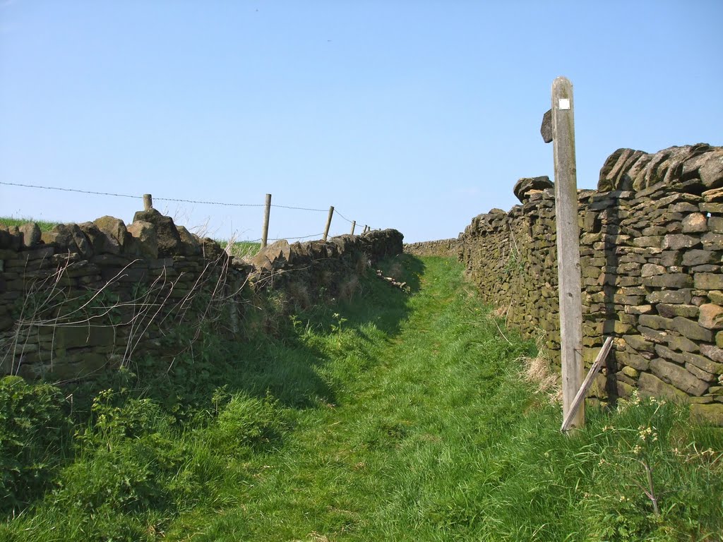 Bridleway to Cote Road, Ripponden by rustyruth