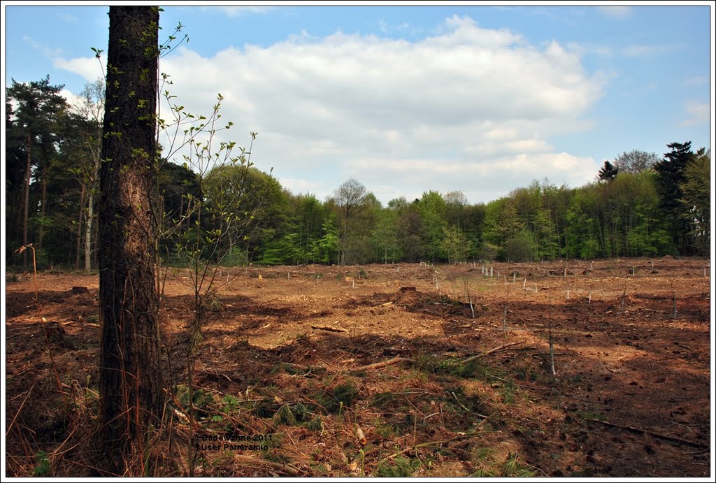 ¤{B} - Naturpark Hohe Mark by Badewanne