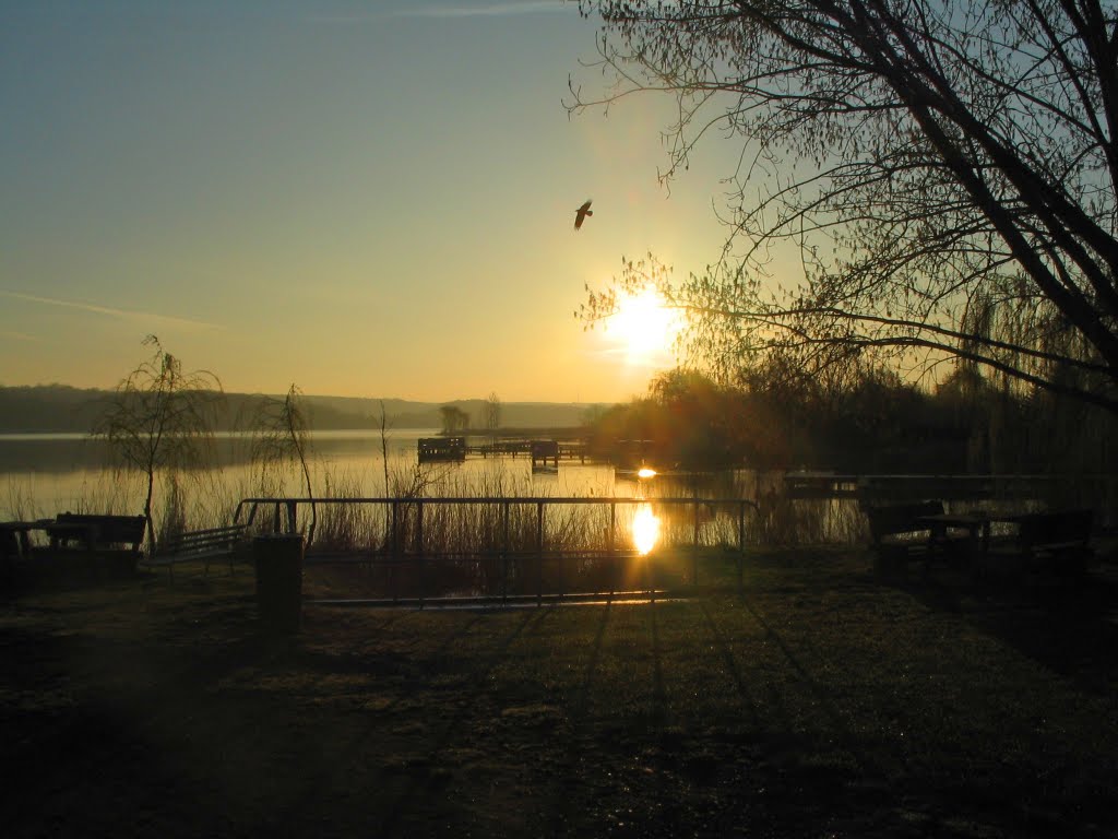 Morgenstimmung am Süßen See by carsten_harnisch