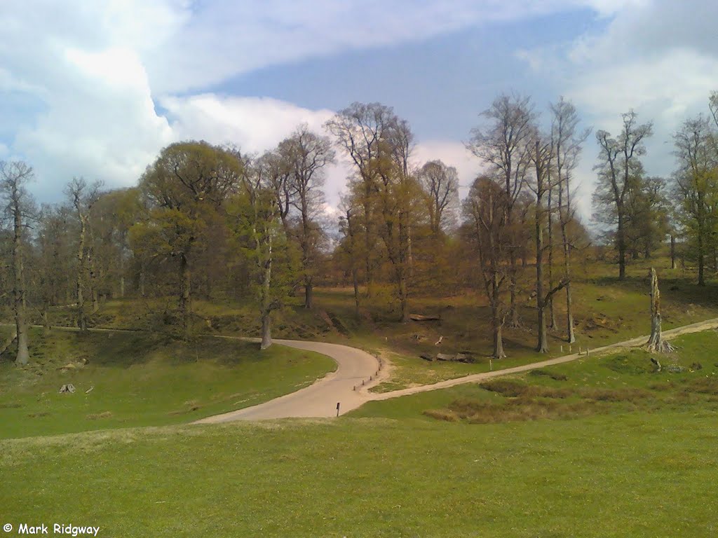 Entering Knole Park by Mark Ridgway