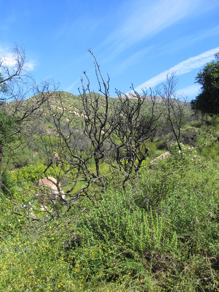 Rattlesnake Canyon Park Hike by M.Tijssen