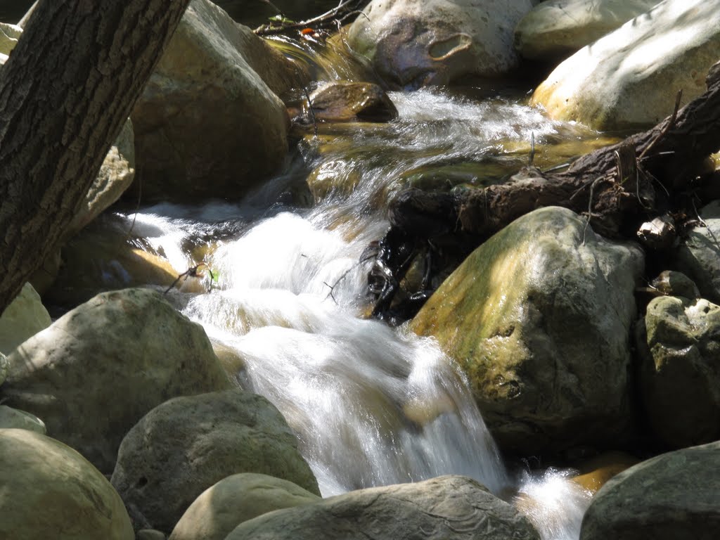 Rattlesnake Canyon Park Hike by M.Tijssen