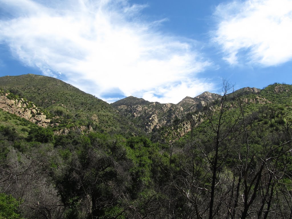 Rattlesnake Canyon Park Hike by M.Tijssen