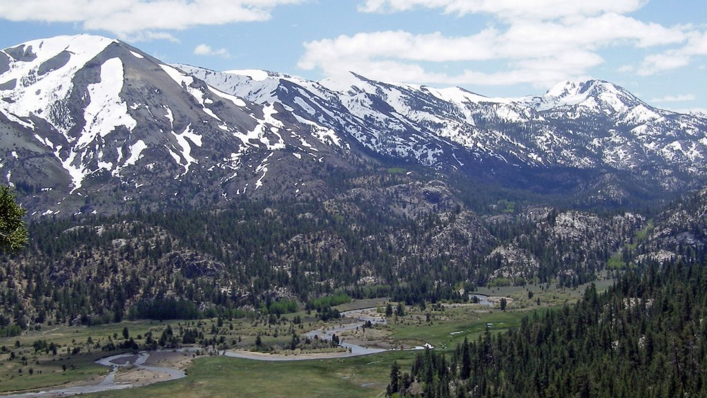 California / Sonora Pass after Sonora Junction Hghw. 395 by Alfred Mueller