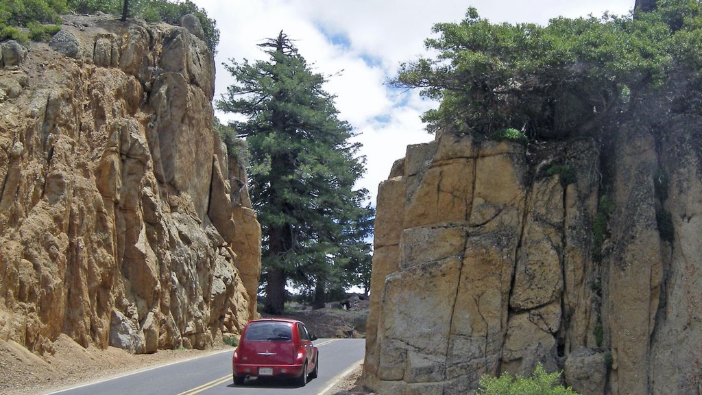 California / Sonora Pass / Downhill to Sonora 2 by Alfred Mueller