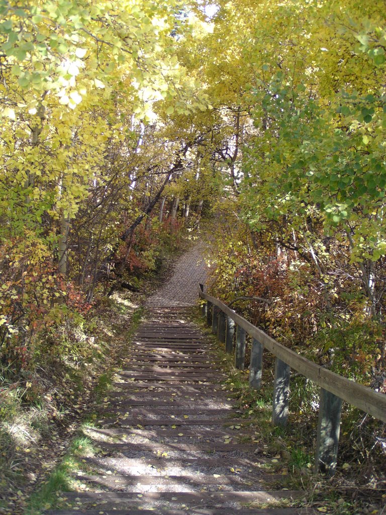 Christie Estates Ravine Stairs by Ray Caufield