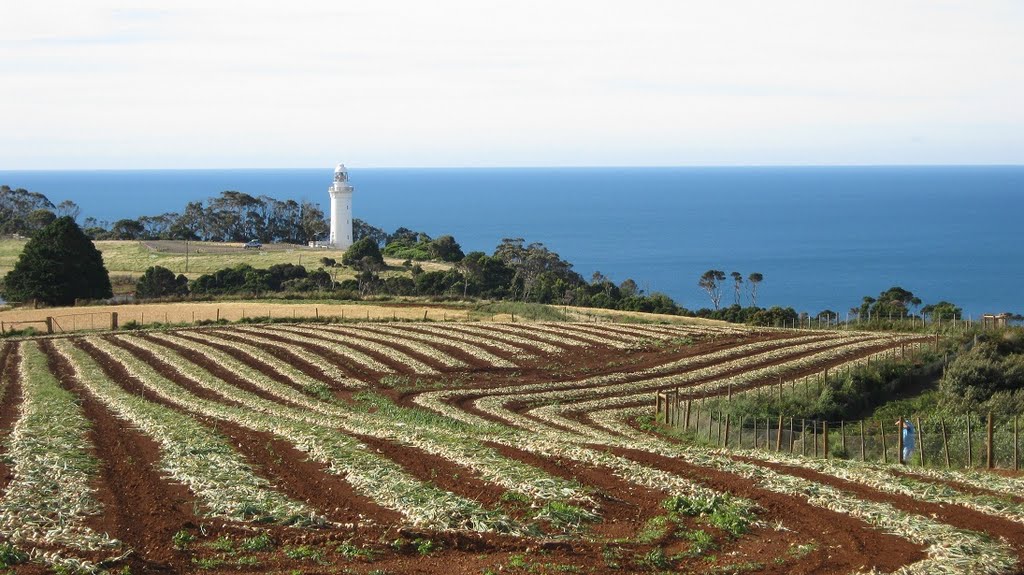 Table Cape Lighthouse by plgrenon