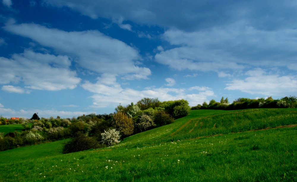 Frühling auf dem Lande by Etude