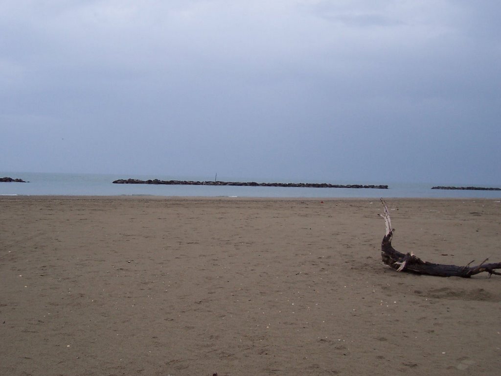 Autunno a Lido di Classe by Il Sarchiapone