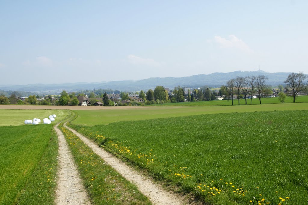 Blick auf Münchenbuchsee und Bantiger bei Bern by Roland Wirz