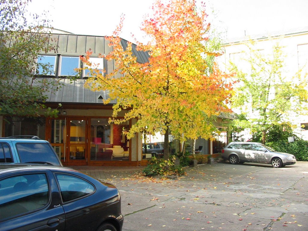 Herbst in Pforzheim by Wolfgang Tatzel