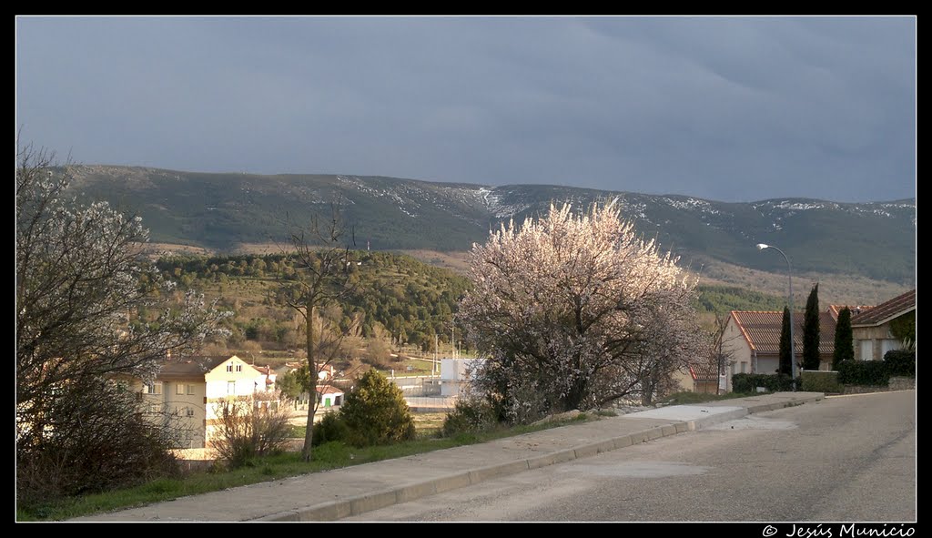 Luz de primavera en Prádena by Jesús Municio