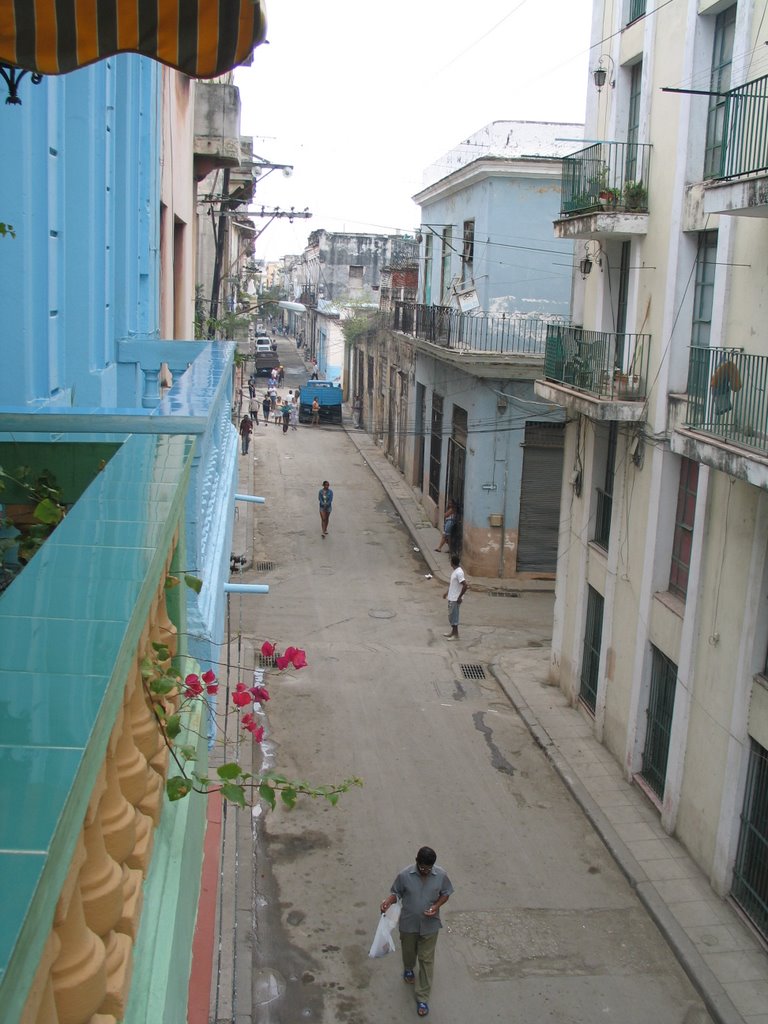 north on San Ignacio St. Habana Vieja by fawn