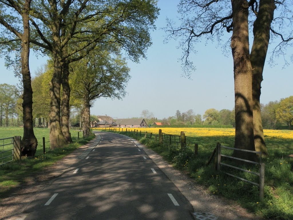 Voorjaar , Brinkkanterweg , Spring by Mart61