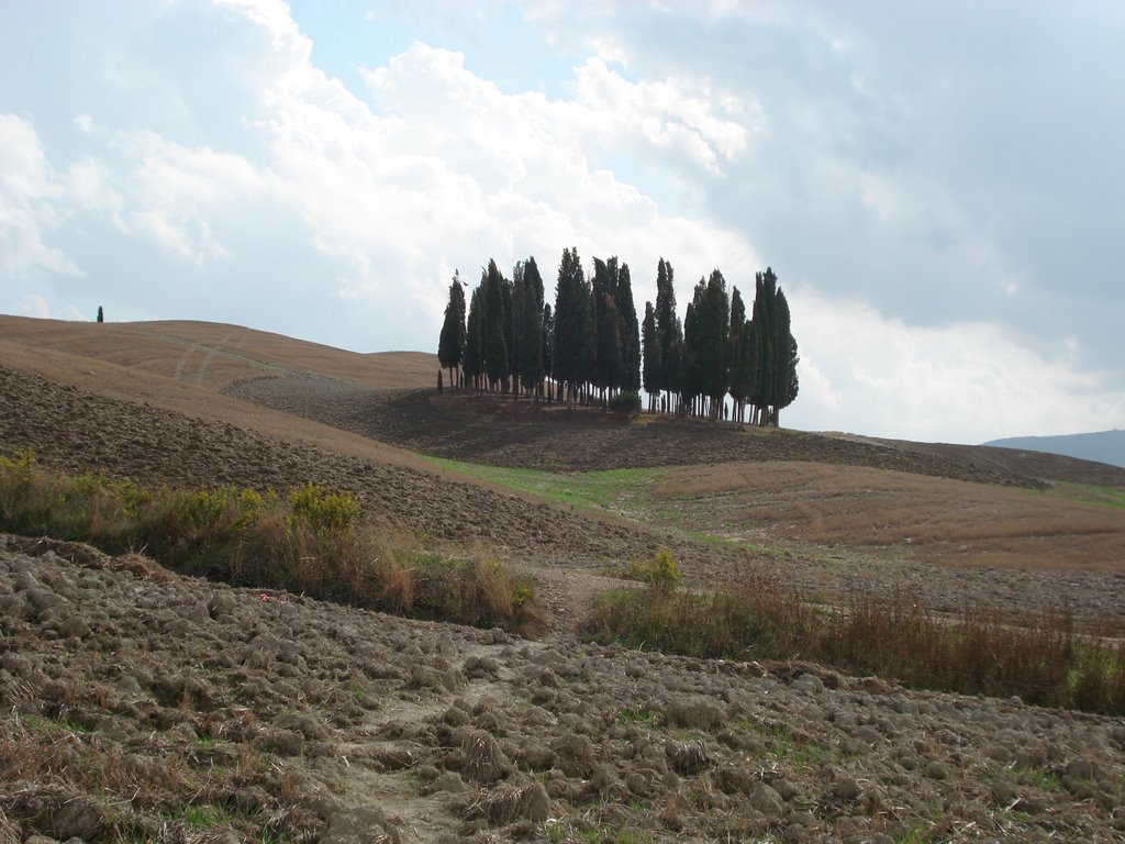 Dintorni di pienza by Pino Mori