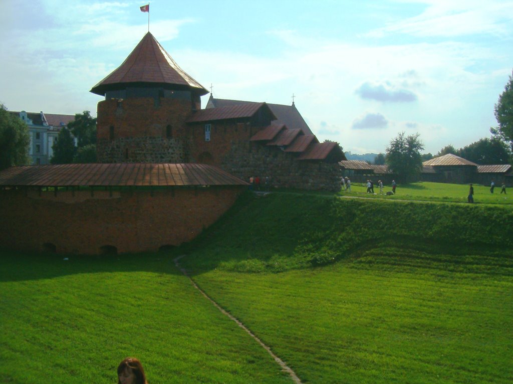 Kaunas, il castello by Vincenzo Surace