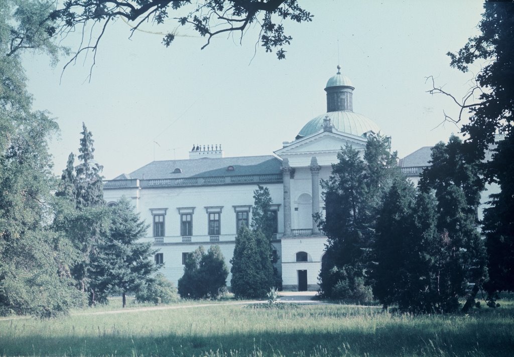 Pirnaische Vorstadt, Dresden, Germany by jano nemcek