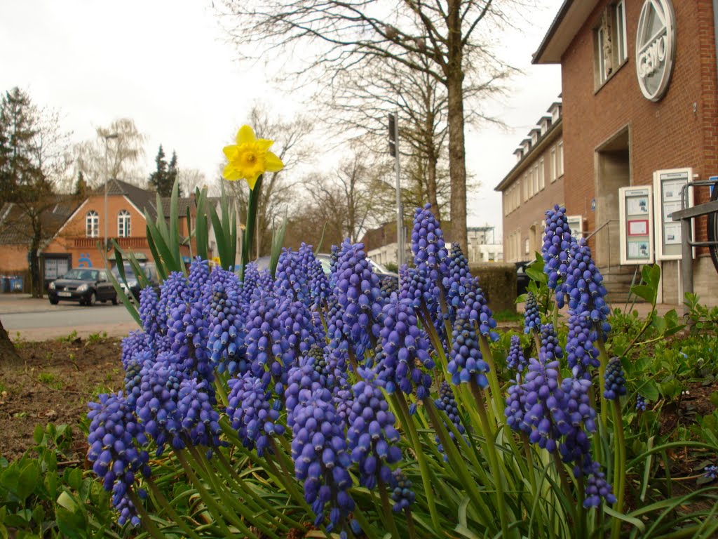 Frühling in der Grafschaft Bentheim by Grafschaft Bentheim