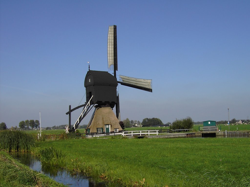 De Westermolen vanuit het zuiden gezien by kokkie