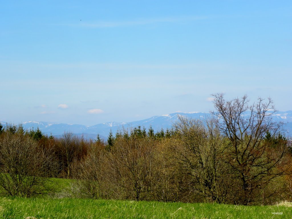 Nad obcí HYNČINA - pohled na Jeseníky / view of the Mountains Jeseníky by votoja - CZ